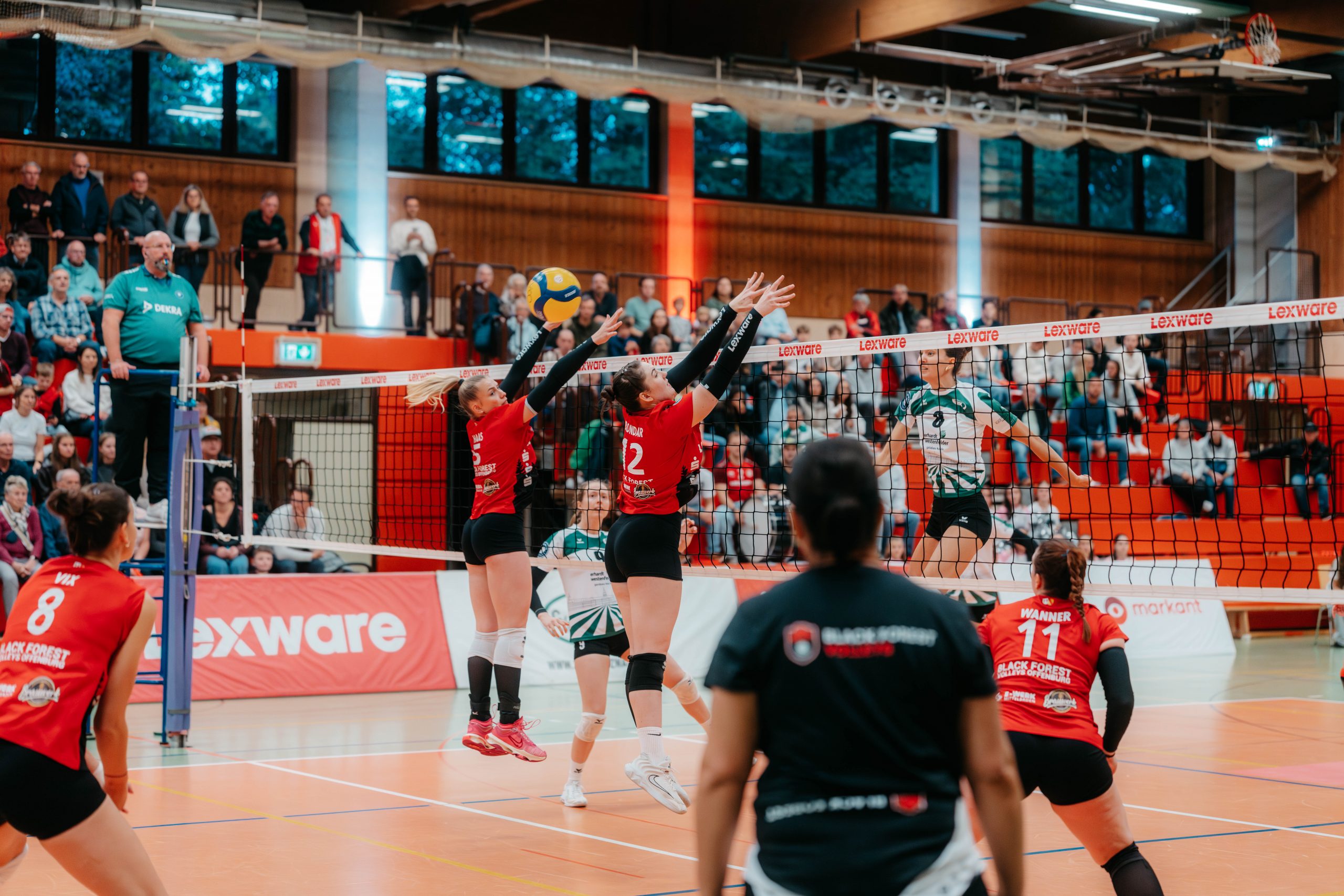 BF Volleys verpassen DVV-Pokal-Achtelfinale