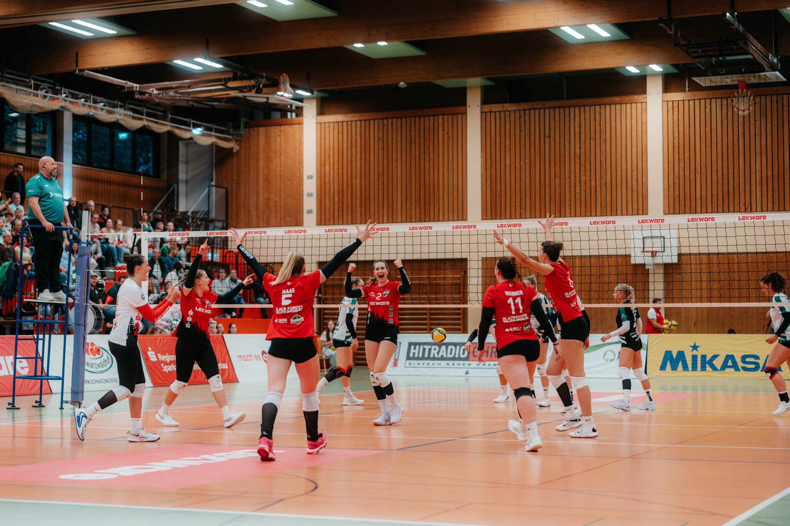 BF Volleys sind heiß auf Aufsteiger-Duell