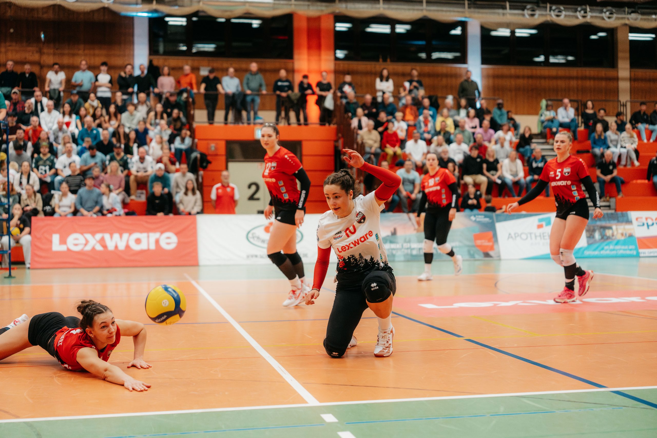 Black Forest Volleys erobern die Tabellenspitze