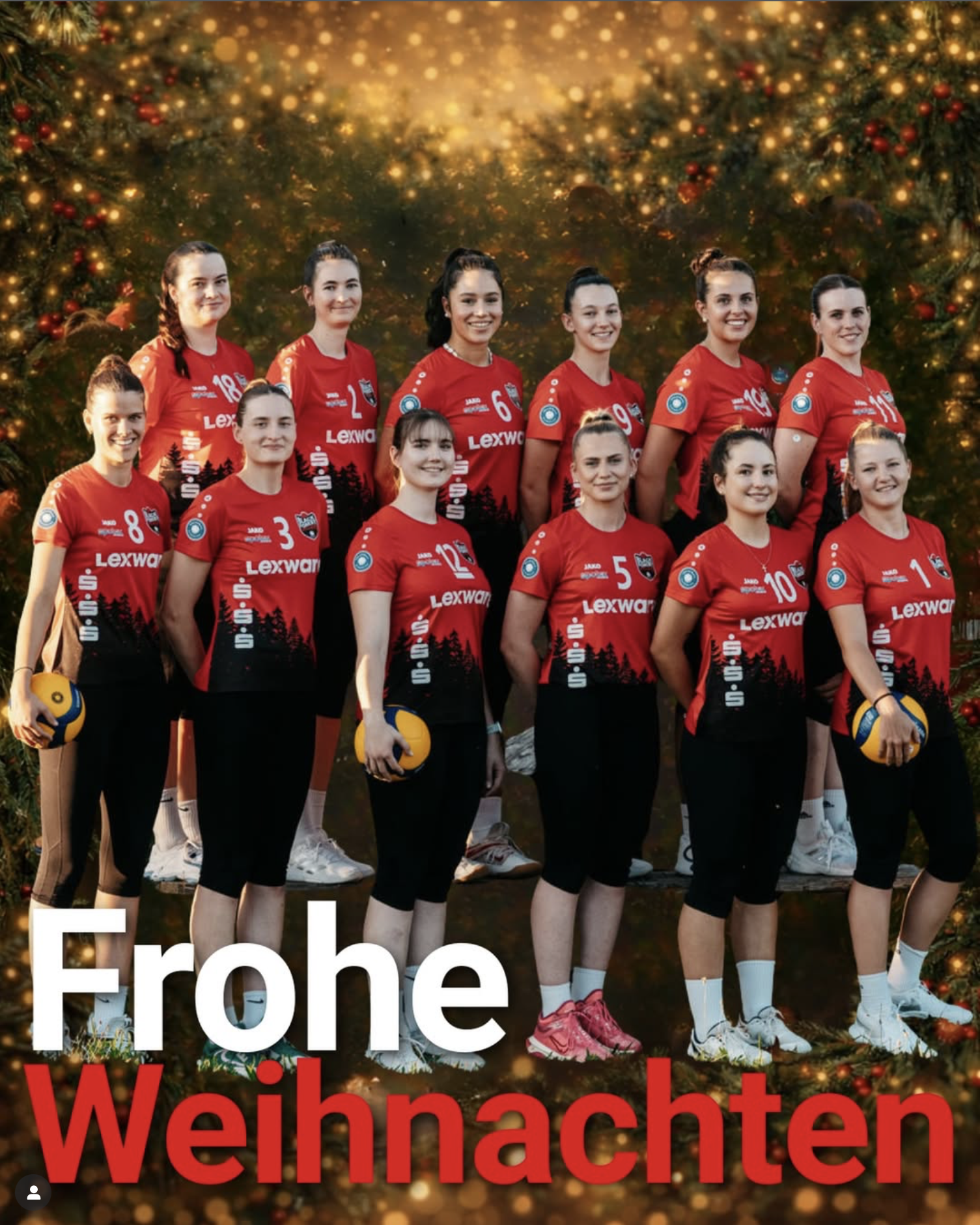 Die BF Volleys wünschen frohe Weihnachten und einen guten Rutsch in 2026!